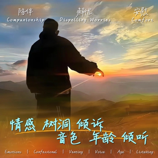 陪伴说话/聊天/哄睡/连麦/语音/失恋