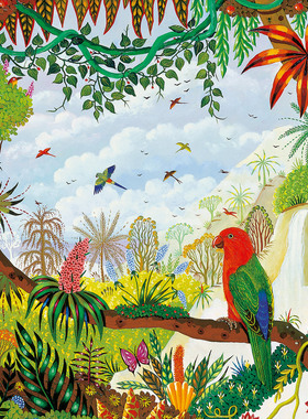 现货 法国 Pieces and Peace 进口小众拼图 澳洲国王鹦鹉 1000片