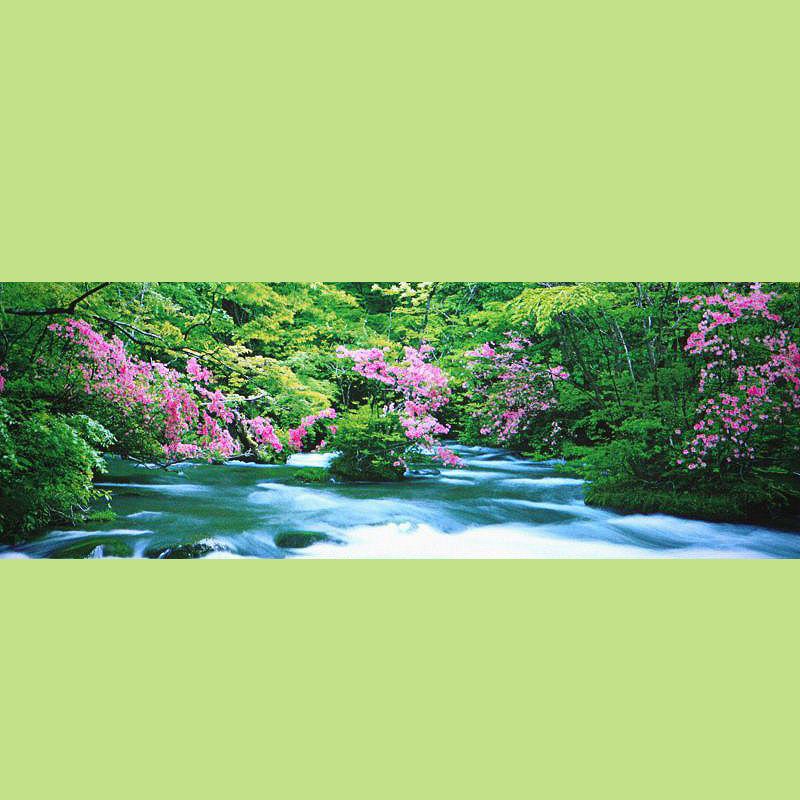 绝版拼图青森奥入濑420片赠框