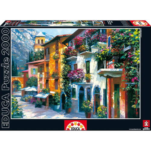 绝版现货 西班牙EDUCA进口拼图 Howard Behrens 山谷花城 2000片