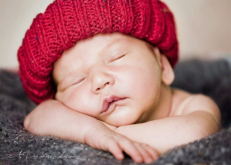 波兰Trefl拼图婴儿宝宝睡香香