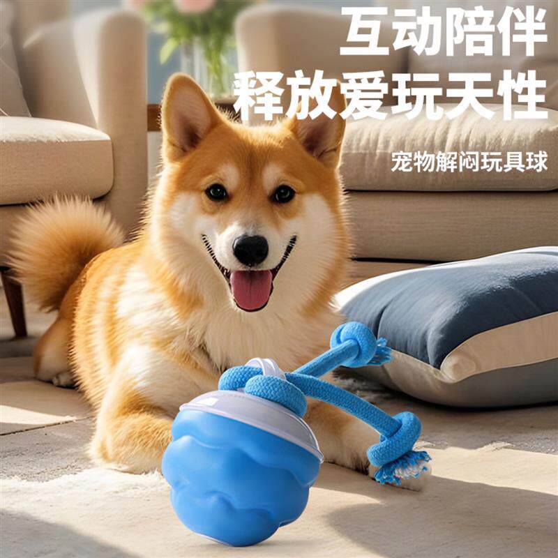 狗狗玩具柯基犬牧羊犬边境小狗耐咬自动遛狗球电动发光发声博美解图片