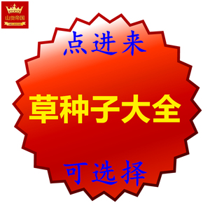 各种花草种子(接骨草 红活麻 蛇莓荨麻草 鬼针草蓖麻）草药籽包邮