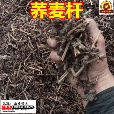 中药材荞麦杆 晒干野生荞麦秆500g包邮新货无硫荞麦枝叶 山货帝国