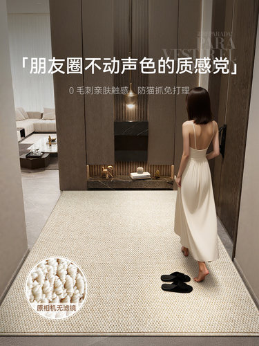 入户门玄关地垫彷剑麻进门垫防滑耐脏免洗脚垫家用可裁剪门口地毯
