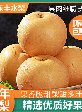 正宗山东丰水梨水果梨子新鲜整箱包邮当季脆甜梨子