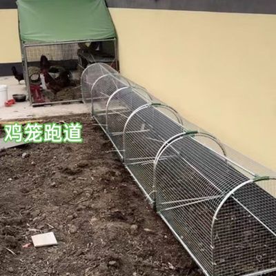 养鸡隧道笼农场走地鸡笼兔笼跑道散养鸡隧道室外溜达管道庭院户外