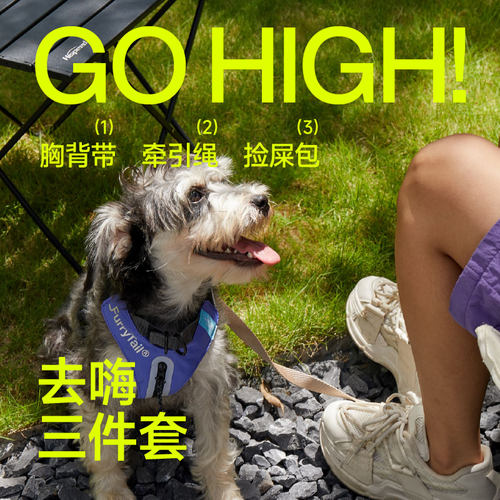 尾巴生活狗牵引绳狗狗外出