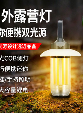 跨境远近双光源露营灯强光野营氛围挂钩帐篷灯户外便携迷你手电筒