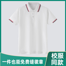 校服短袖polo衫儿童班服套装小学生中学生高中夏季定制一模一样