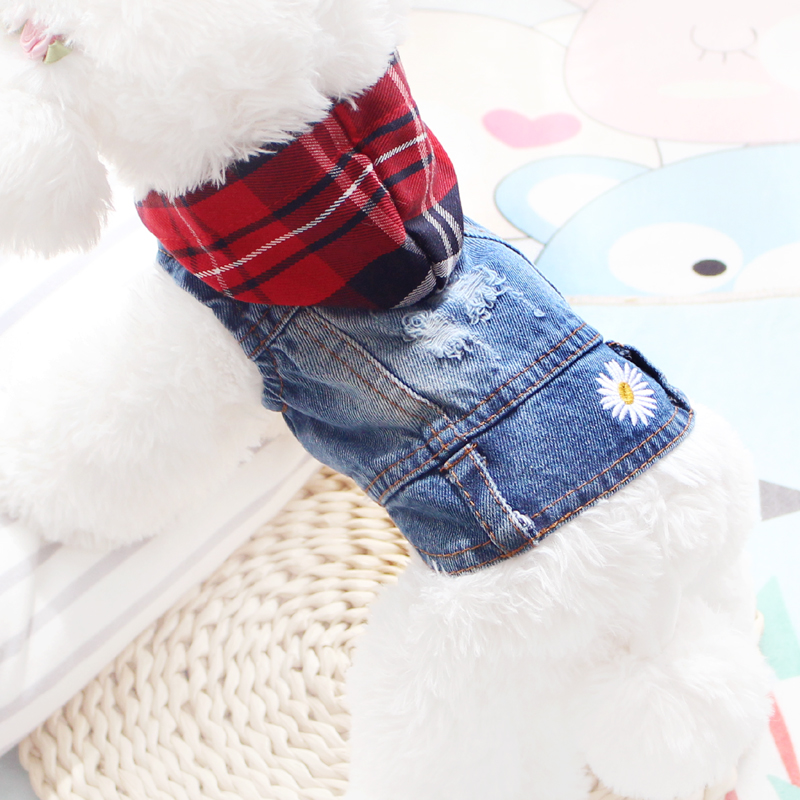 21新款两脚带帽背心牛仔泰迪博美