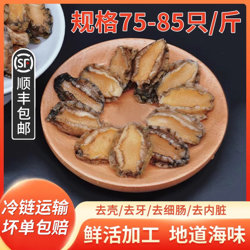 新鲜海捕鲍鱼冷冻水产商用80头