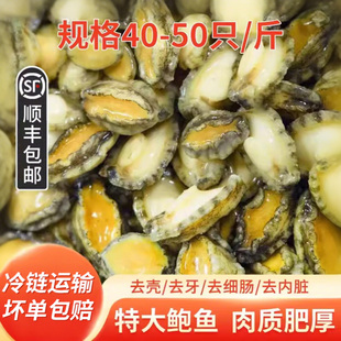 去壳冷冻鲍鱼肉海鲜鲜活超大鲍鱼商用小鲍鱼酒店餐饮加热即食鲍鱼