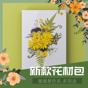 黄色diy混合干花押花材料包 滴胶压花标本画儿童手工体验天然创意