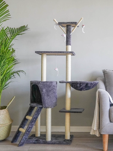 爬 鹗 芩 芩 笮 笮 笮   ㄎ ㄎ ㄎ ㄎ ㄌ   ブ ブ ブ       惶