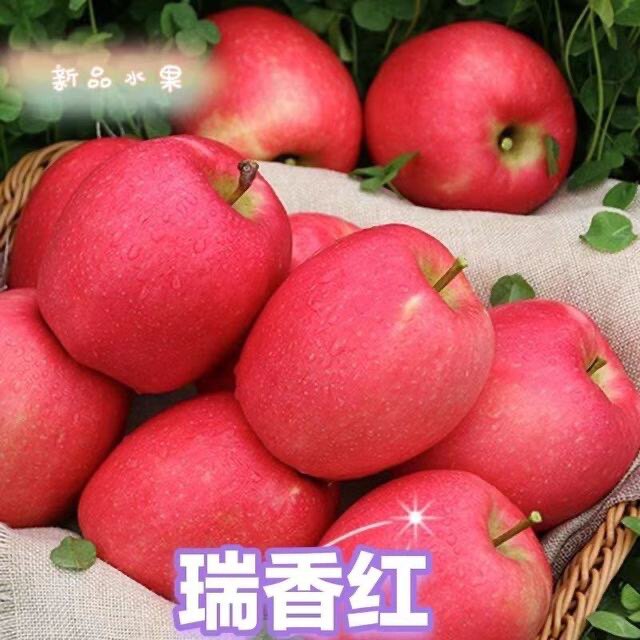新品国货瑞香红苹果水果新鲜脆甜多汁孕妇宝宝不打蜡5斤整箱包邮图片