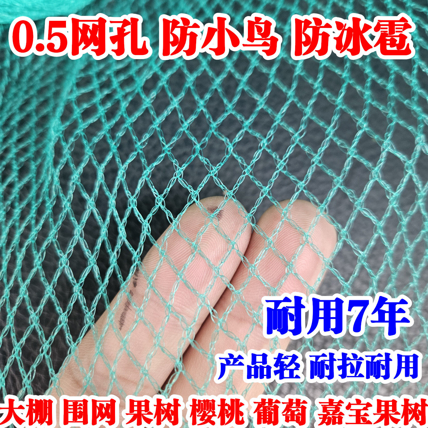 嘉宝果树防鸟网农用大棚防护网樱桃枇杷杨梅树防鸟用的网无结的网