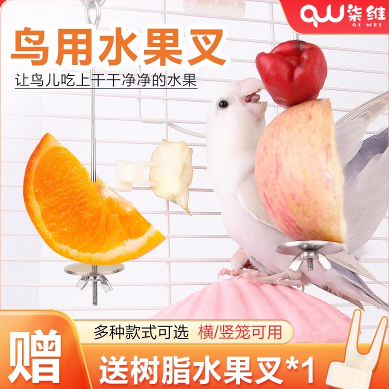 鹦鹉水果叉子不锈钢材质干净卫生