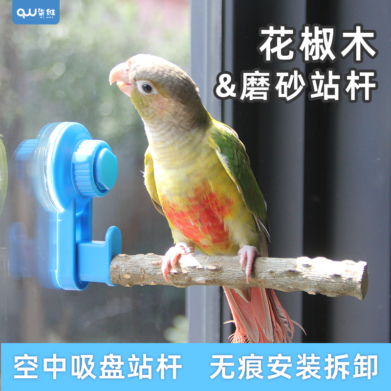 鹦鹉站杆吸盘式安装站杆多样