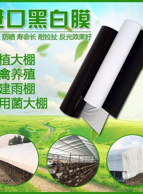 养殖黑白膜养殖大棚膜防晒加厚隔热反光膜黑白隔热膜养鸡大棚膜
