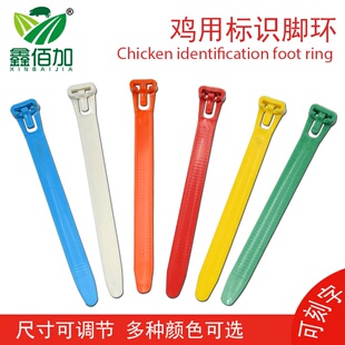 鸡脚环扎带式 可定制文字编号鸡鸭鹅识别脚环可调节大小 记号脚圈