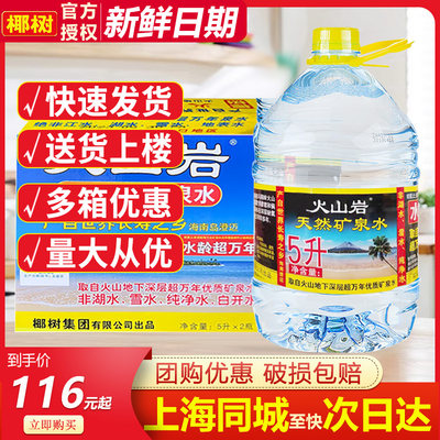 椰树火山岩矿泉水5L*2桶2箱大桶