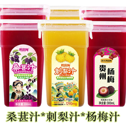 原果榨汁非勾兑杨梅蓝莓