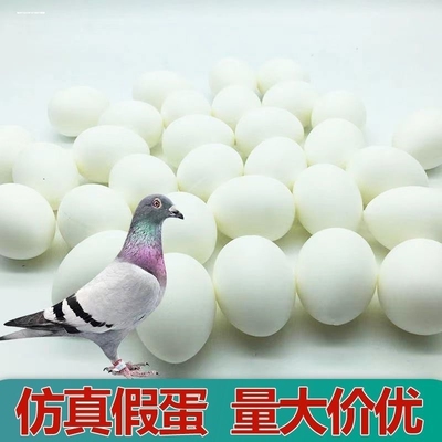 假信鸽蛋/鸽子引产蛋/鸽子蛋/肉鸽用假蛋信鸽实心塑料/假鸽子蛋