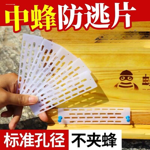多功能中蜂防逃网片蜜蜂片防跑片网养蜂工具蜂箱巢门蜂王隔王片蜂