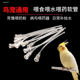 鹦鹉雏鸟喂食器软管人工喂流食工具喂药玄风牡丹文鸟猫乌龟爬宠用