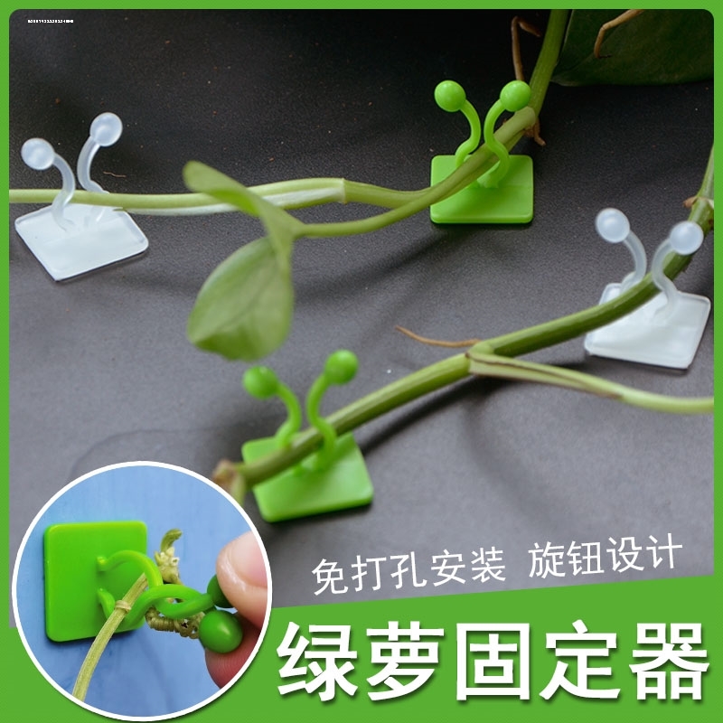 绿箩爬上神器绿萝固定器爬墙绿植壁挂月季藤蔓夹无痕花夹卡扣挂钩