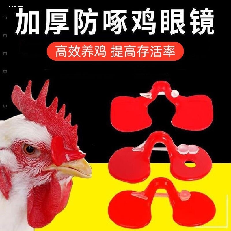 鸡眼镜防啄打架 加厚小中大号鸡眼睛带拴子鸡眼镜 养鸡设备用具品