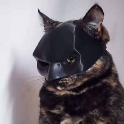 蝙蝠猫复仇者面具创意宠物面罩超帅气头饰小猫小狗蝙蝠侠COS道具
