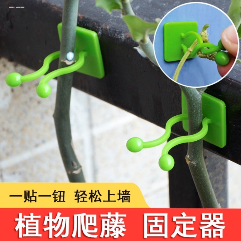 绿箩爬上神器爬墙上绿萝固定器绿植攀爬夹子藤蔓挂钩强力粘爬藤杆