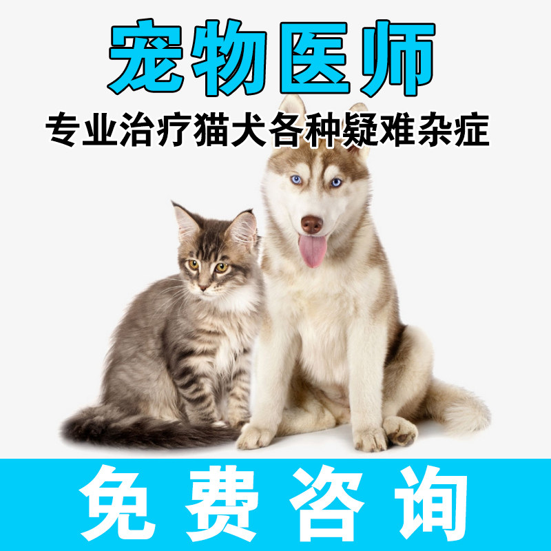 宠物医生在线咨询 狗狗猫咪执业兽医医院在线服务购买后终生有效