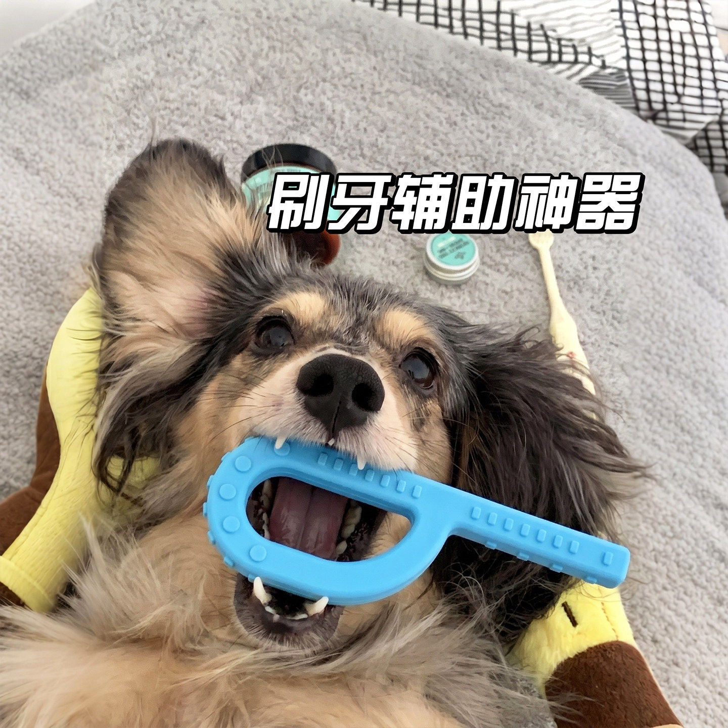 狗狗刷牙辅助神器橡胶洁
