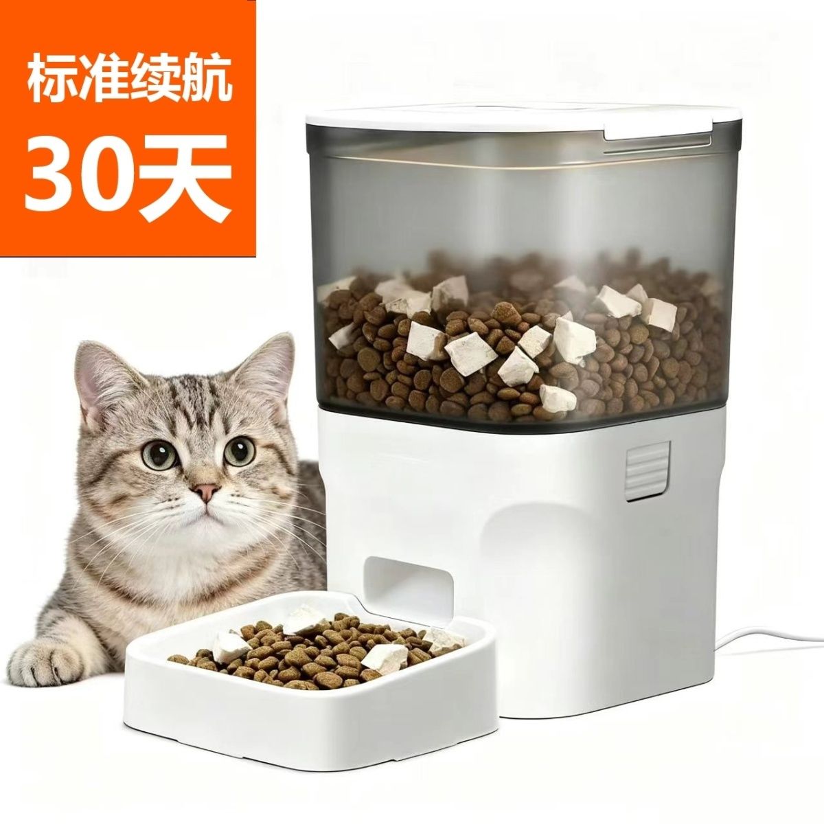 4升自动喂食器无wif猫充