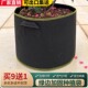 绿边种植袋月季 超大无纺布美植袋加厚出口型户外阳台楼顶种花种菜
