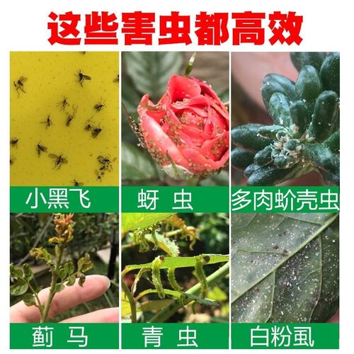 土虫净素材模板 土虫净图片下载 小麦优选