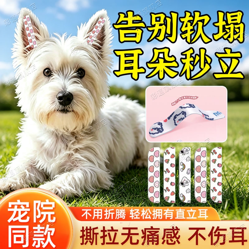 【宠物医院同款】西高地立耳贴