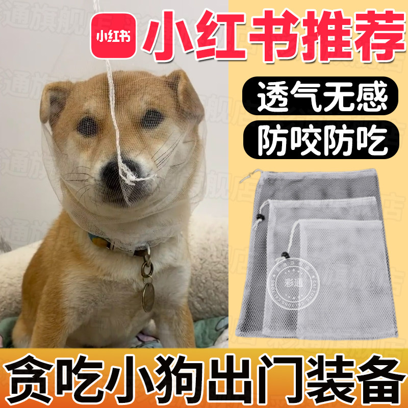 【贪吃小狗出门装备】防狗狗乱吃