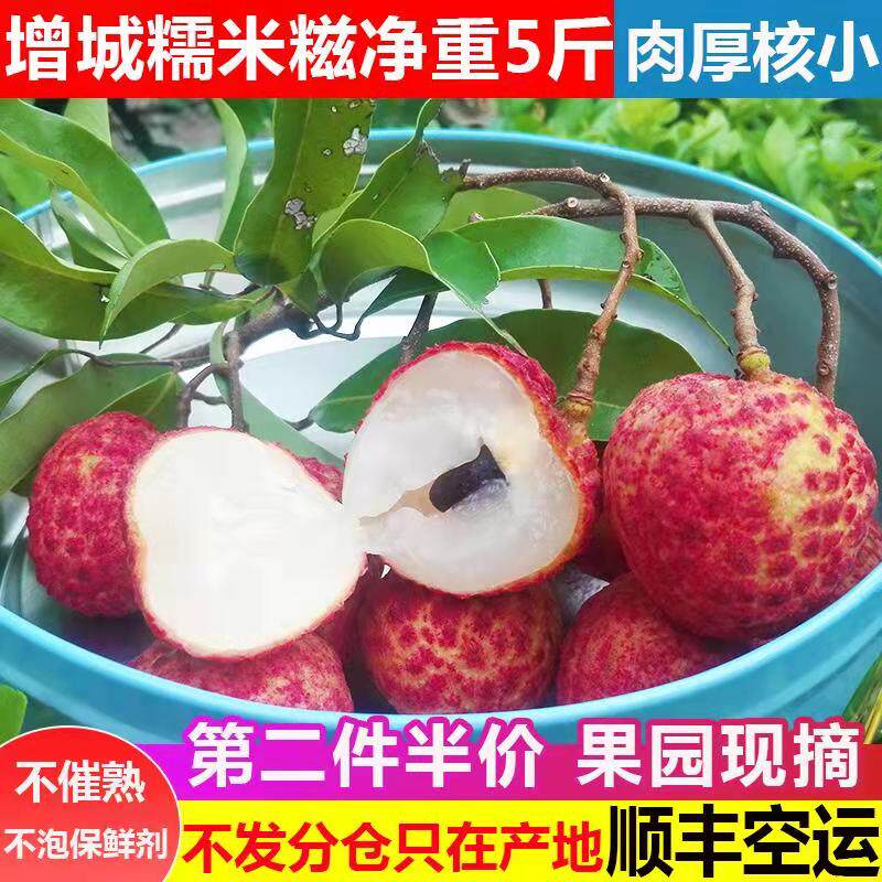[The second half]Guangdong Zengcheng Glutinous rice dumplings Litchi 5 fruit fresh Season Full containerin the Aquatic meat/Fresh fruits and vegetables/Cooked , Fresh fruit , Litchi  category - from Buy2taobao.com to provide professional Taobao agent buy service