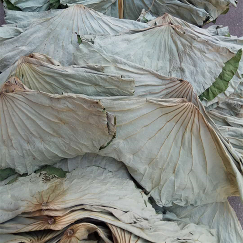 10斤整张荷叶叫花鸡蒸肉泡茶美味