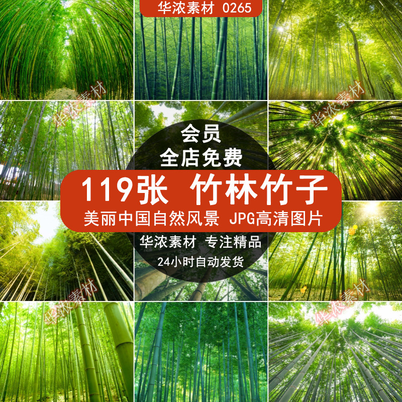 绿色竹子竹林青竹翠竹jpg高清图片自然风景设计喷绘打印合成素材