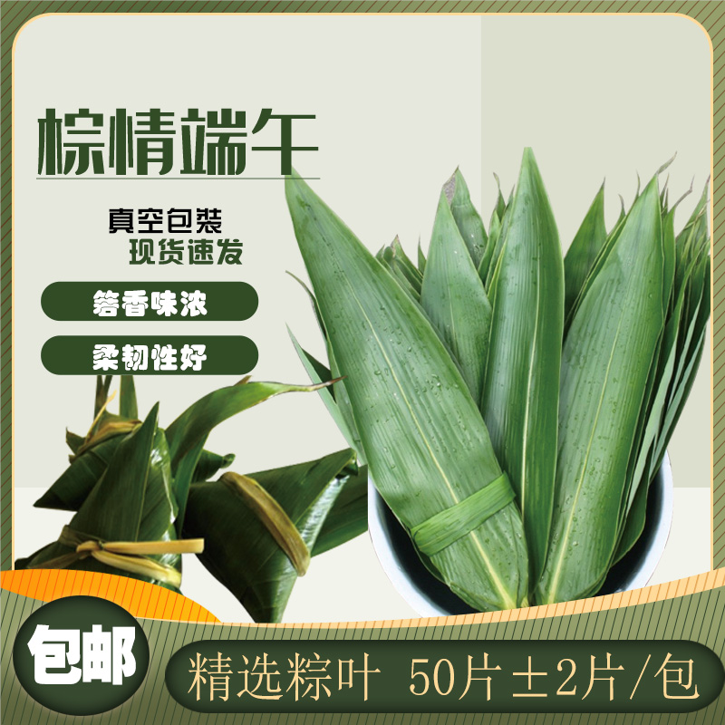 端午节棕子叶家用自制粽子新鲜棕叶包粽子叶子真空包装商用棕叶