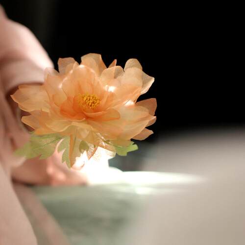 牡丹唐风大花烫花百搭后压发夹款