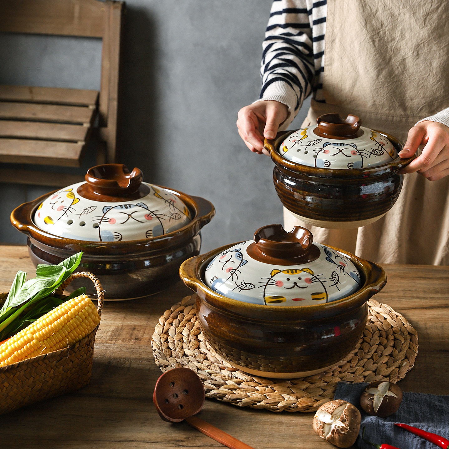 舍里高颜值砂锅煲家用耐高温干烧不裂燃气灶专用煲汤锅煲仔饭沙锅