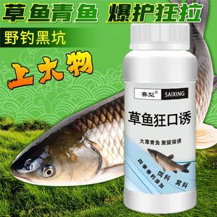 鱼饵料窝料钓鱼小药青草狂口诱钓青鱼草鱼添加剂黑坑野钓巨青大草
