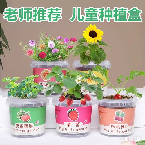 四季儿童盆栽四季开花