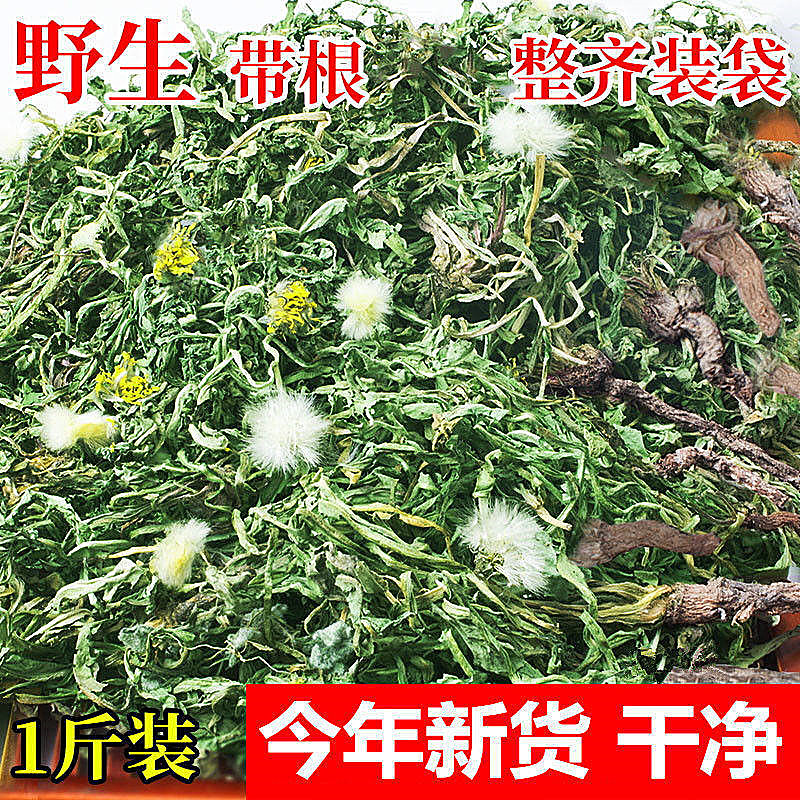 免洗蒲公英茶包邮干蒲公英整棵